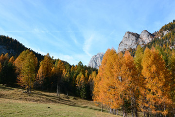 Fototapeta premium I bellissimi colori dell'autunno