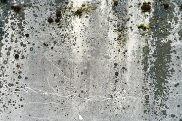 white wet wall texture old dirty scratched plaster as grunge background