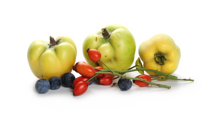 Quinces, blackthorn berries and rose hips isolated on white background