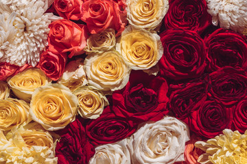 Natural colorful roses background, close up top view. Spring blossoming lowers