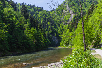 The turn of the river Dunajec in Pieniny, Poland and Slovakia