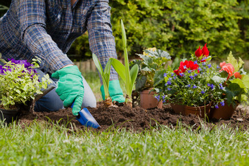 Planting flowers in the garden home