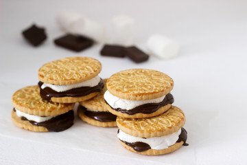 Fototapeta na wymiar Homemade marshmallow s'mores with chocolate on crackers on a white background.