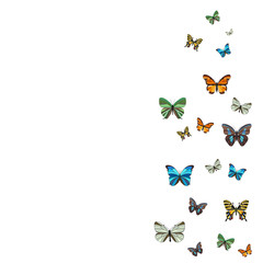 background, postcard, flying butterflies