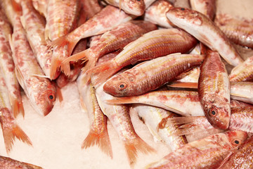 Speisefische auf Eis