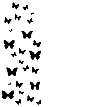 background, postcard, silhouette of flying butterflies