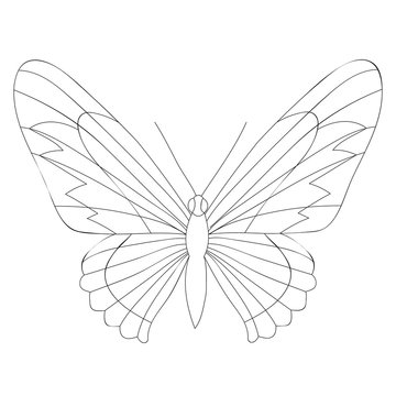 book coloring butterfly