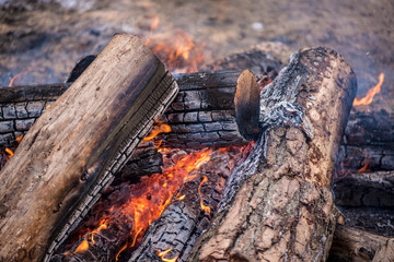 Burning logs in orange red bonfire