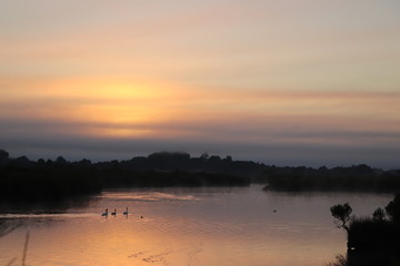 Coucher de soleil avec des oiseaux domaine de certes Bassin d'arcachon