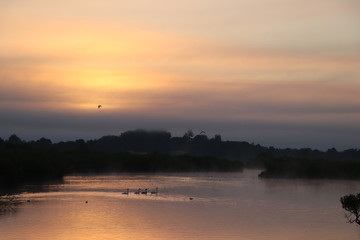 Obraz na płótnie Canvas Coucher de soleil avec des oiseaux domaine de certes Bassin d'arcachon