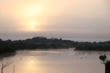 Coucher de soleil avec des oiseaux domaine de certes Bassin d'arcachon