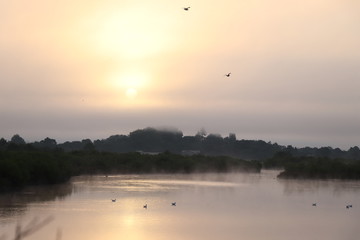 Obraz na płótnie Canvas Coucher de soleil avec des oiseaux domaine de certes Bassin d'arcachon