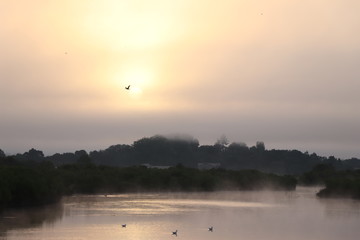 Obraz na płótnie Canvas lever de soleil sur le domaine de graveyron-certes , bassin d'arcachon