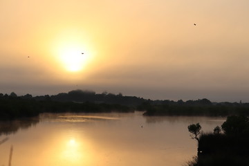 coucher de soleil avec des oiseaux