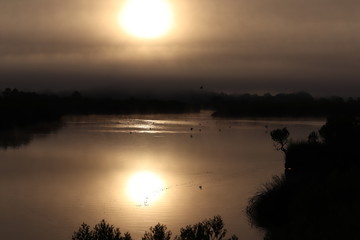 Coucher de soleil avec un vol d'oiseaux