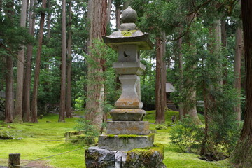 福井県勝山市の苔寺