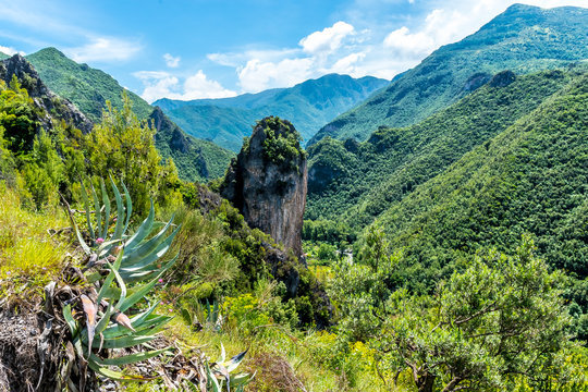 PAPASIDERIO, CALABRIA, ITALY - The view of a valley of wild green plants, in the Natural Park of Papasidero, with a large columnar rock, in the south of Italy, on a summer day.