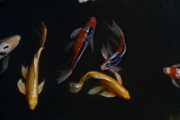 Flie&szlig;ende Bewegungen