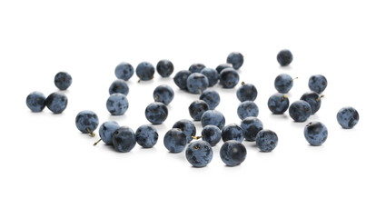 Fresh blackthorn berries isolated on white background
