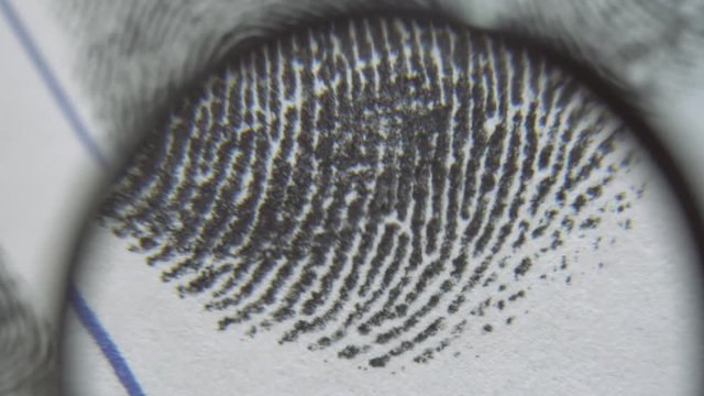 Dactyloscopic investigate fingerprints. Macro shot.