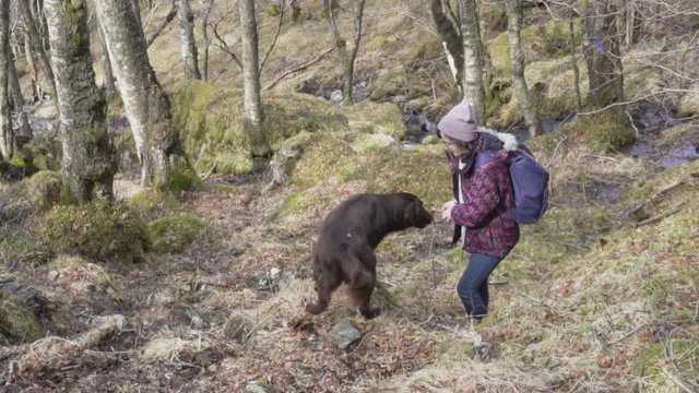 Woman with glasses, red cap, black and red jacket, grey sweater, blue backpack, blue jeans and brown boots training a chocolate flat coated retriever female dog to fetch a stick_slomo
