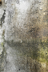Excessive moisture can cause mold and peeling paint wall , such as rainwater leaks or water leaks​ .