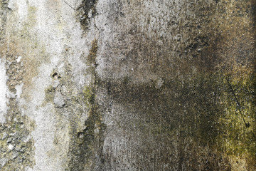 Excessive moisture can cause mold and peeling paint wall , such as rainwater leaks or water leaks​ .