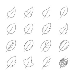 leaf icons set. vector illustration.