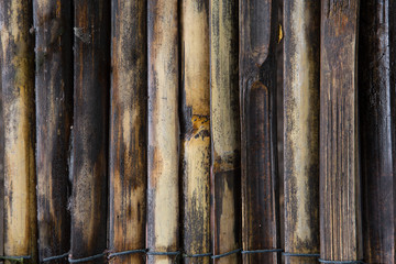 Fototapeta premium Bamboo pile