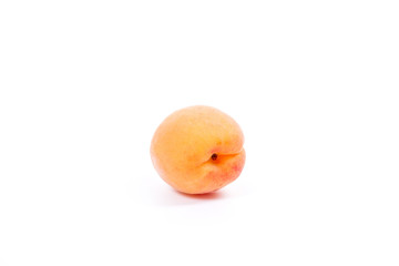 Several of harvested apricots whole and halved on white background..