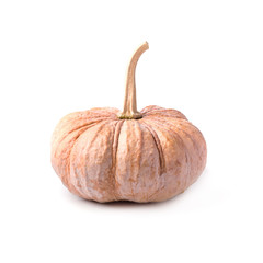 Orange vegetable for pumpkin soup and other squash products isolated on white background