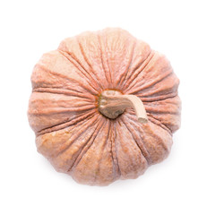 Orange vegetable for pumpkin soup and other squash products isolated on white background