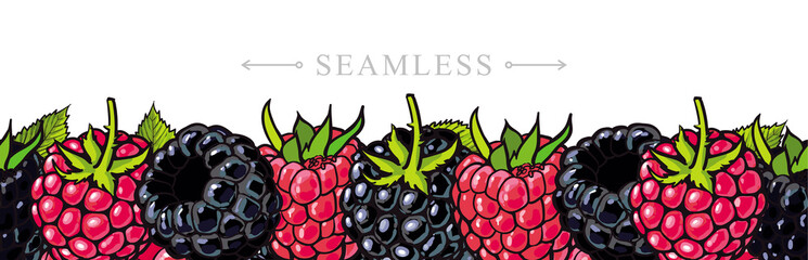 Raspberry and blackberry border seamless pattern with fresh ripe berries and green leaves in sketch style isolated on white background - hand drawn summer sweet fruits in vector illustration.