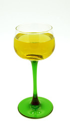 Glas Wein freigestellt auf weißem Hintergrund