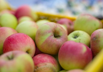 Fresh red apples