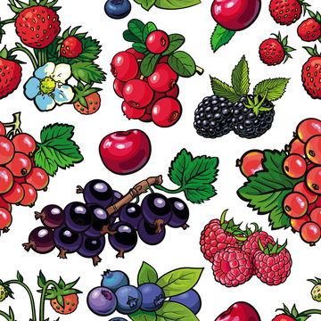 Sketch garden berries, leaves and flowers seamless pattern. Gooseberry, blackberry currant strawberry and raspberry. Fresh juicy sweet food, Symbol of healthy lifestyle dieting, vector illustration