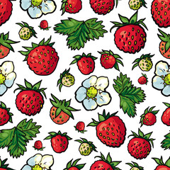 Sketch wild strawberry seamless pattern. Flowers with leaves, green unripe berries, big red ripe. Hand drawn fresh juicy sweet food full of vitamins. Textile, fabric design vector illustration