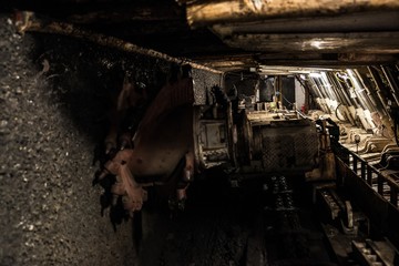 Mine shearer and movable roof supports