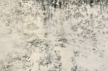 Grunge Wall Background Texture