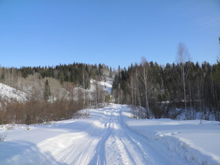 siberia winter landscape
