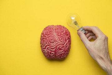 Bright idea. Brain with lightbulb. inspiration, innovation, solution concept