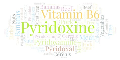 Obraz premium Pyridoxine word cloud.