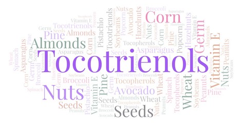 Fototapeta premium Tocotrienols word cloud.