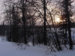 siberia winter landscape