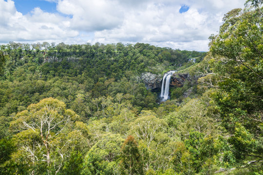 Ebor Falls, Guy Fawkes River National Park, New South Wales