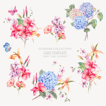 Vector vintage floral set of hydrangeas, orchids