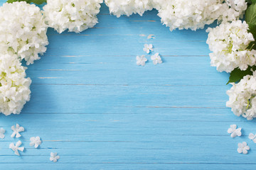 decorative viburnum on  wooden background