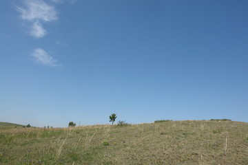 Obraz premium summer sky