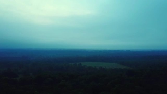 Asending shot of a cool misty morning above the Ashville forest.