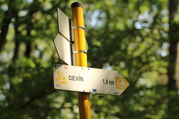 Portrait of buffy fish owl Ketupa ketupu at a zoo